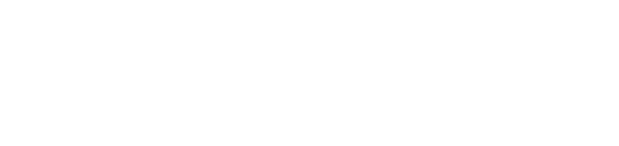 VetsWise